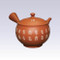 Tokoname Kyusu teapot - Shudei & KANJI - 270cc/ml