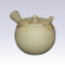 Tokoname Kyusu teapot - HAKUSAN - Algae Hanging - 240cc/ml - Pottery steel net with wooden box