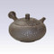 Tokoname Kyusu teapot - JUSEN - Burning Foam - 140cc/ml - Detailed steel net