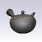 Tokoname Kyusu teapot - ISSIN - Black - 400cc/ml