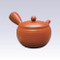 Tokoname Kyusu teapot - AKIRA - Thick Line Step - 460cc/ml - Obal ami stainless steel net