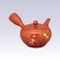 Tokoname Kyusu teapot - AKIRA - Tabby Cat - 540cc/ml - Obal ami stainless steel net