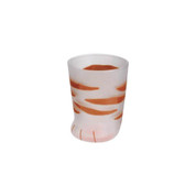Tiger - Cat glass cup - COCO