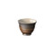 Tokoname-yaki - TOMOHIRO SAWADA - Chawan teacup