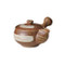 Shigaraki-yaki - YUEI - 360cc/ml - kyusu teapot - Ceramic mesh w box