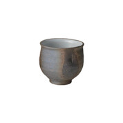 Shigaraki-yaki - IBUSHI - Chawan teacup