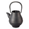 Black - Nanbu cast iron teapot - TSUBOMI - 400ml/cc - with 2 spare net