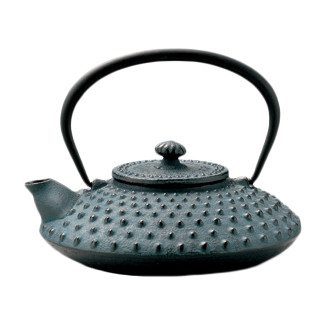 Nanbu cast iron teapot - HIRA ARARE - 500 ml/cc