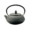 Nanbu cast iron teapot - ARARE - 300 ml/cc - 2 color
