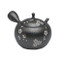Japanese tea pot - SHORYU - SAKURA Black - 300cc/ml - ceramic fine mesh - Tokoname kyusu