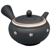 Teapot Kyusu Tokoname - TAKEHARU - Black - 300 ml cc - Stainless Mesh - Plum