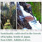 Forest-grown_Dried Shiitake Mushrooms