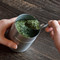 scooping tea leaves