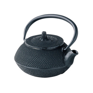 Nanbu Tetsubin - Maru Arare (small polka dot) 0.3 L : Japanese cast iron teapot