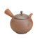[Premium] Tokoname Pottery : EKUBO - Japanese Kyusu tea pot 330cc Ceramic fine mesh net