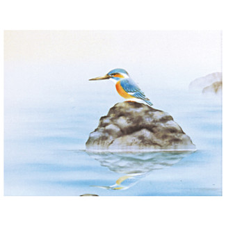 Kingfisher / Kawasemi - with wood box