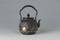 Takaoka Tetsubin - Iron Kettle Teapot : Collection of Treasures with gold and silver inlay