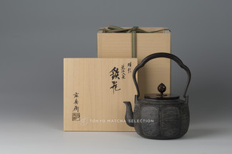 Takaoka Tetsubin - Iron Kettle Teapot : Eight Views of Omi