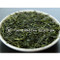 [JAS Certified/IMPERIAL] Organic Spring Sencha Kodawari 80g (2.82oz)