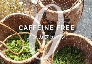 CAFFEIN FREE