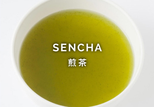 SENCHA