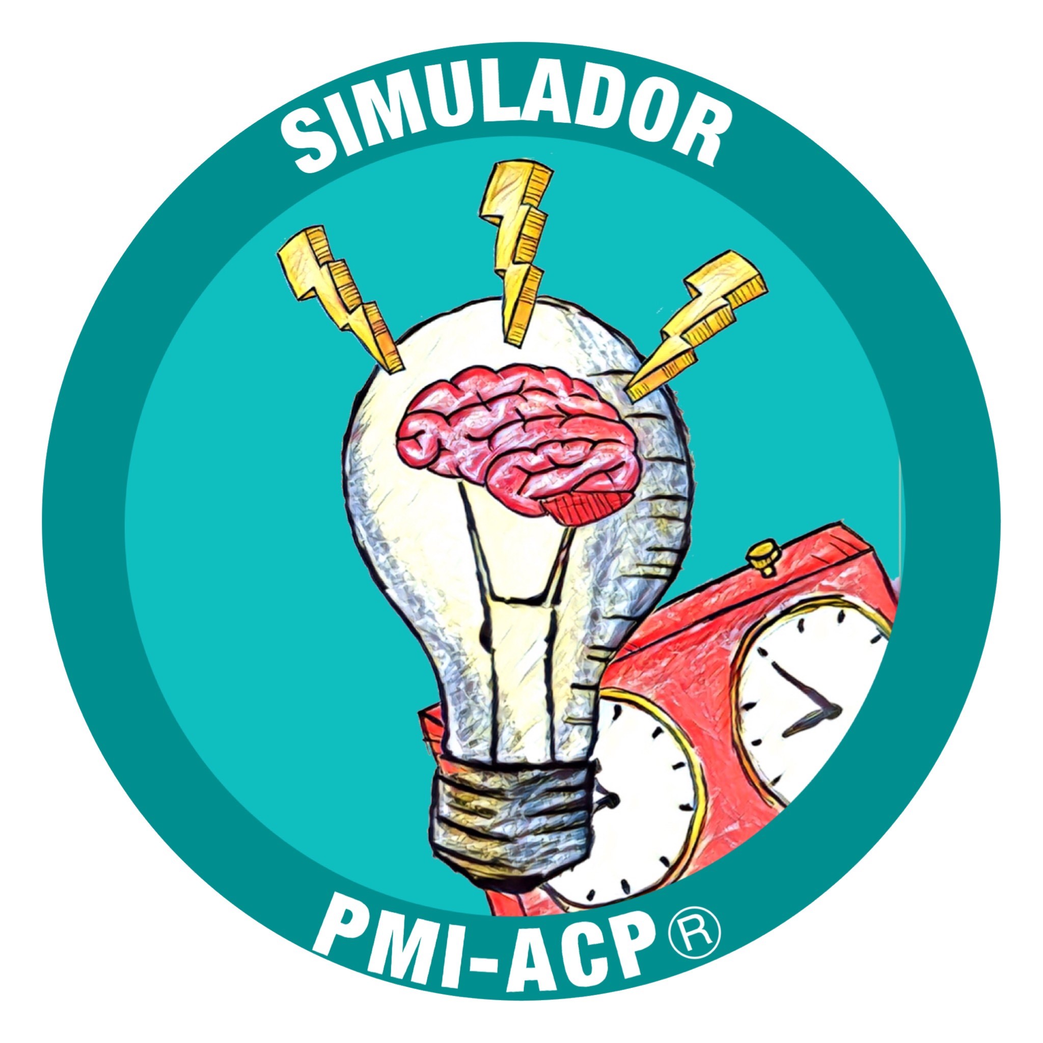 simulador-pmi-acp.jpg