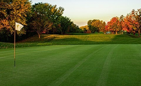tee-2-green-prestige-1.1.jpeg