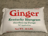 Ginger  Kentucky Bluegrass  Pasture