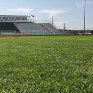 Barenbrug HGT Kentucky Bluegrass + RPR with Yellow Jacket Coating