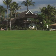 Barenbrug PanAm Blend Bermudagrass + Yellow Jacket (Call for Pricing And Sales )