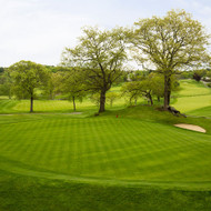 Tee-2-Green Crystal BlueLinks Bentgrass Raw  25 lb.