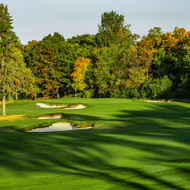 Tee-2-Green Prestige Bentgrass Raw  25 lb.