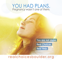 You Had Plans-Pregnancy Poster