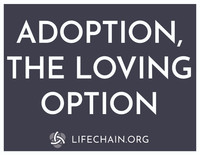 Adoption the Loving Option/Life the First Inalienable Right--LAMINATED