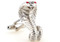 Silver Cobra snake cufflinks with red crystal eyes close up image