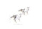 Silver camel cufflinks shown as a pair with size dimensions 18 mm by 24 mm close up image