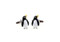Tuxedo Emperor Penguins cufflinks shown as a pair close up image