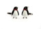 Emperor Penguin in a red bow tie Cufflinks shown as a pair close up image