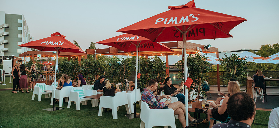 Artificial_Trees-Ficus