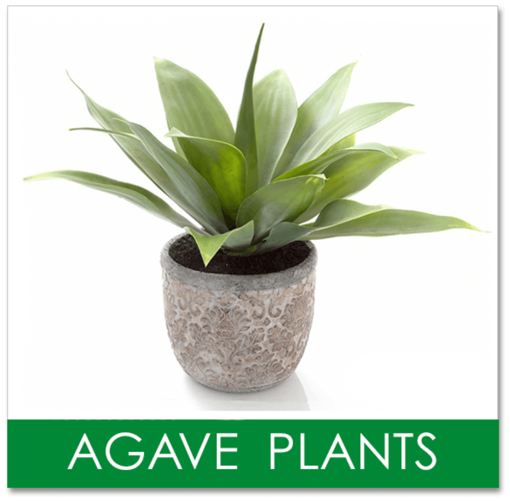 Discover some of the Best Artificial Agave Plants and So Much More