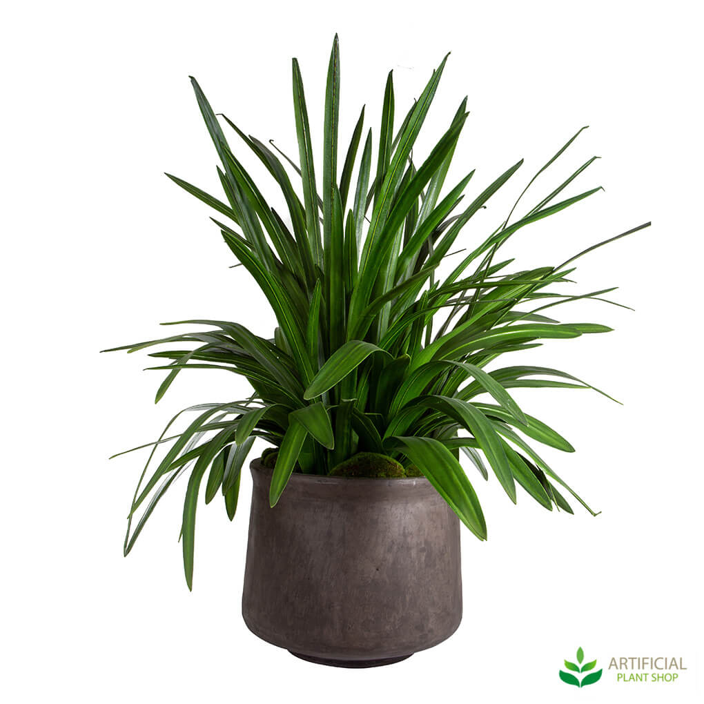 Potted fake orchid leaves