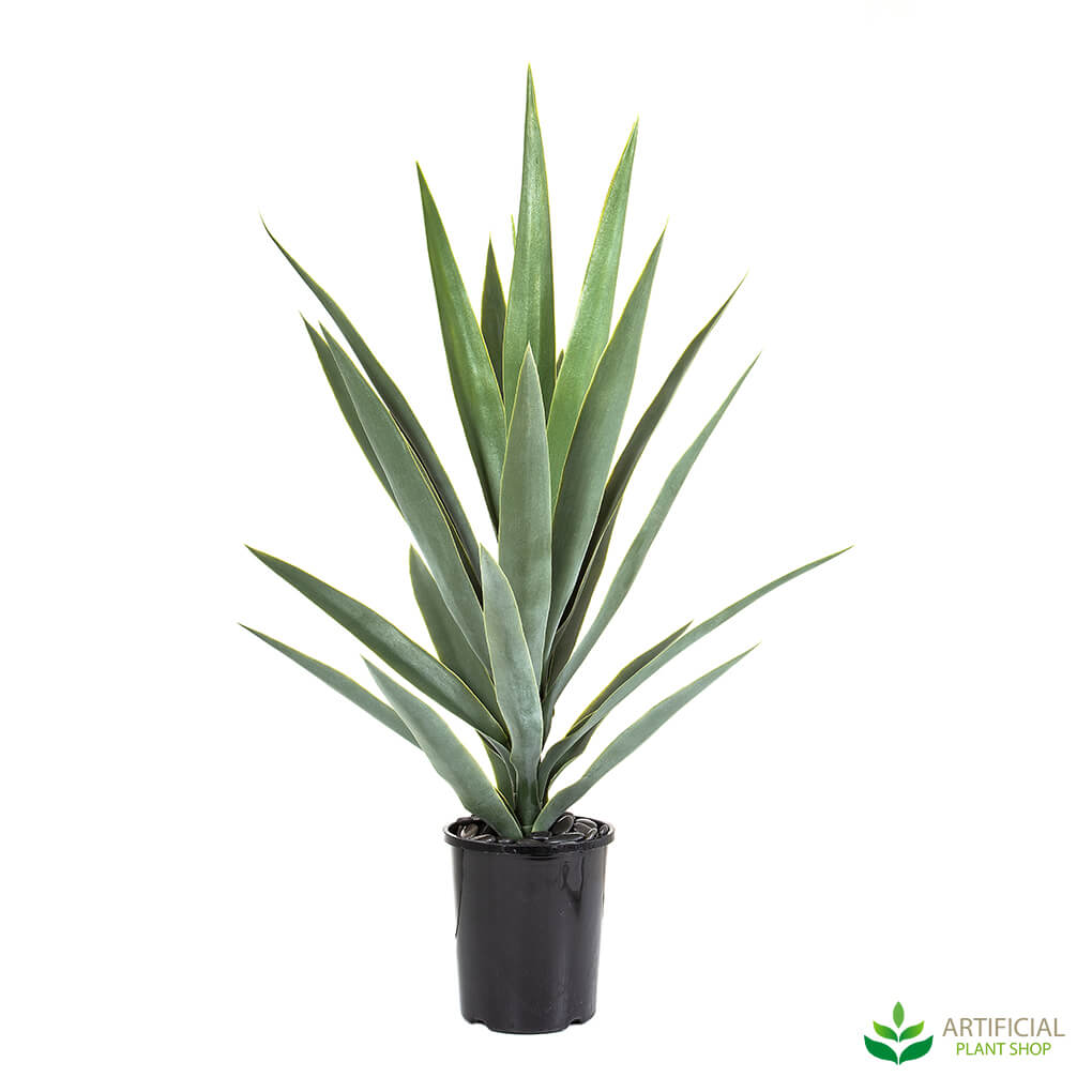 Why every office needs a Yucca Plant Artificial Plant Shop