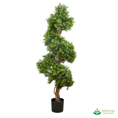 Boxwood Spiral Tree 1.5m