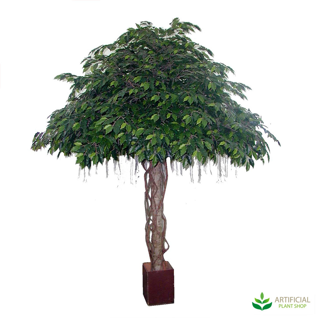 Artificial Giant Ficus Tree 3.5m Umbrella Shape