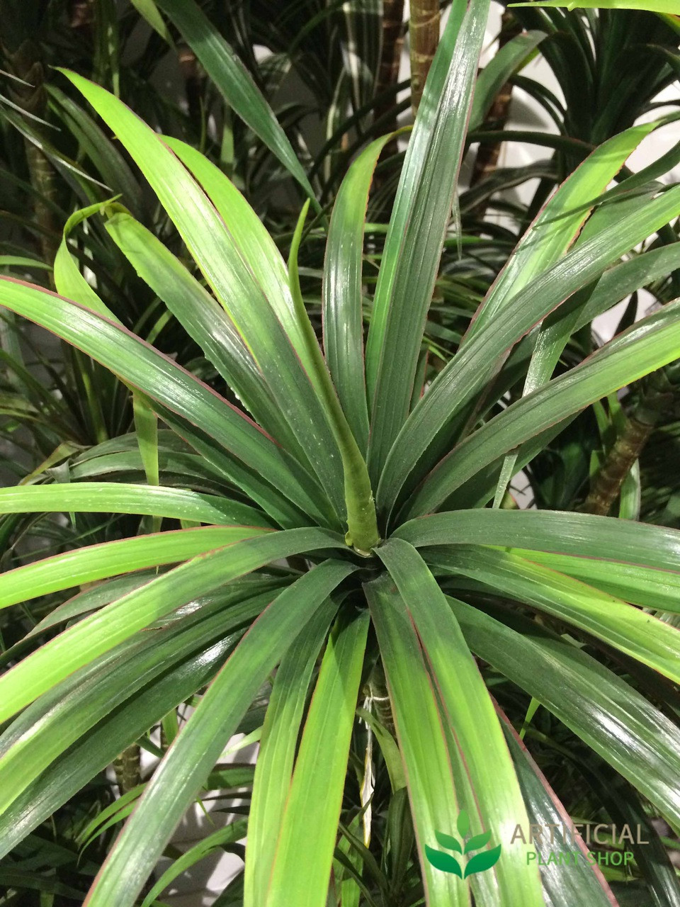 Artificial Yucca Tree leaves