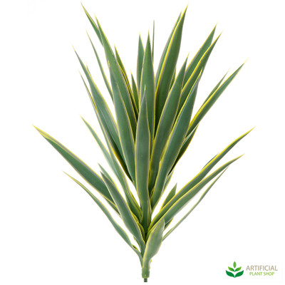 Yucca head 78cm