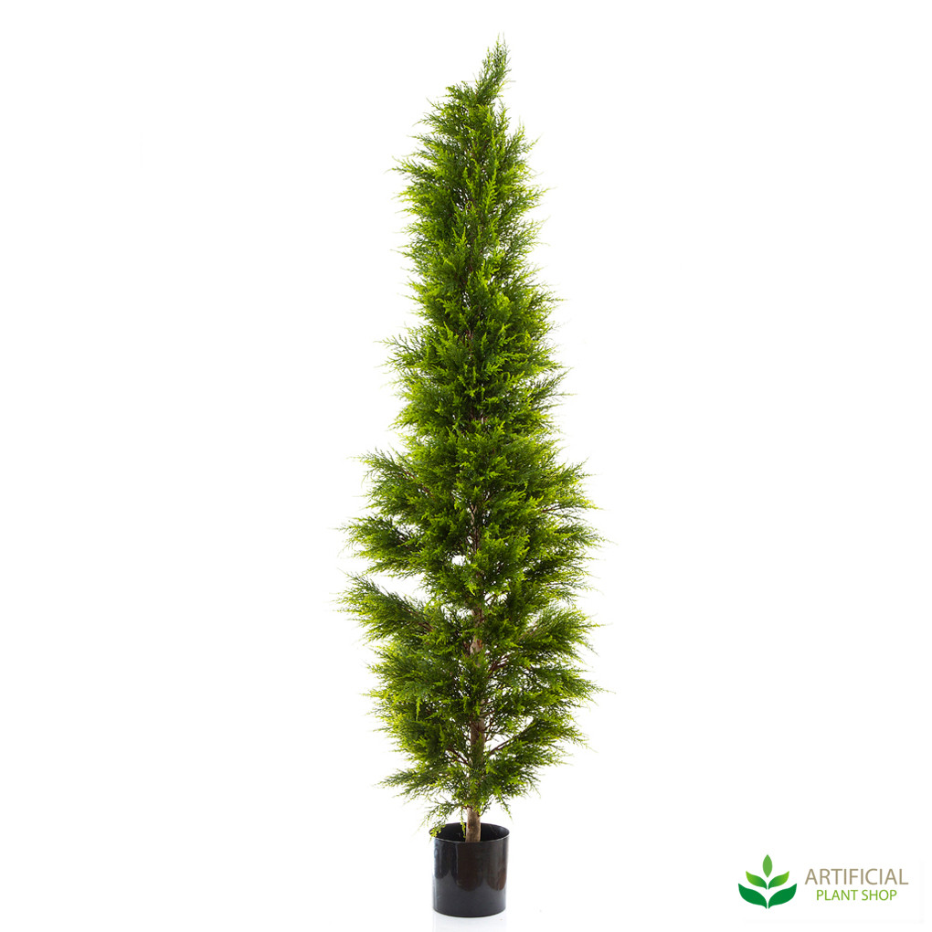 Artificial Large Cypress Pine Tree - 2m