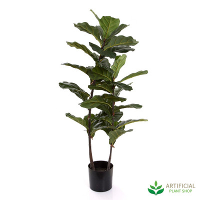 Fiddle Leaf 1.13m