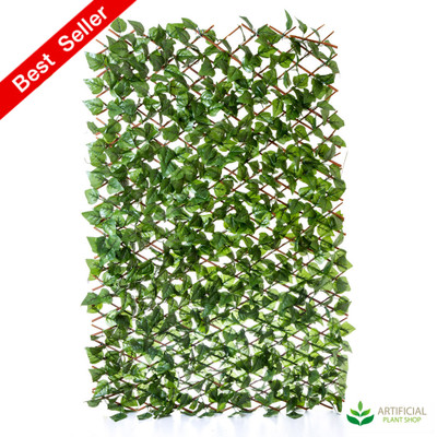 Ivy Trellis Expandable to 3m