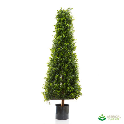 Boxwood Pyramid Tree 1.15m